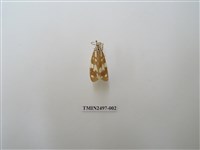 藏品(小花斑蝶燈蛾)的圖片